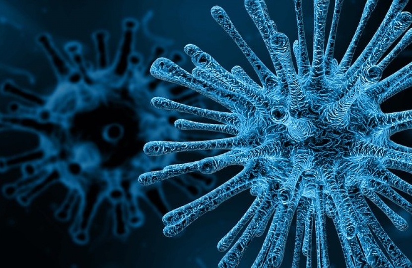 Coronavirus (COVID-19) update